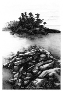 Coastline 3