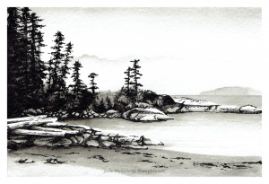 Coastline 1